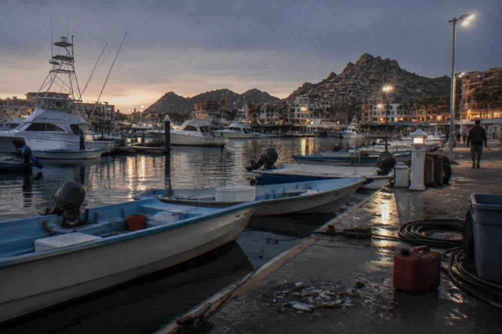 Fishing and tour boats moored along a calm marina at first light