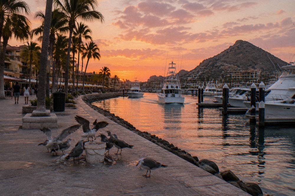Group of boats returning to the marina under a pink and orange sky in Cabo San Lucas