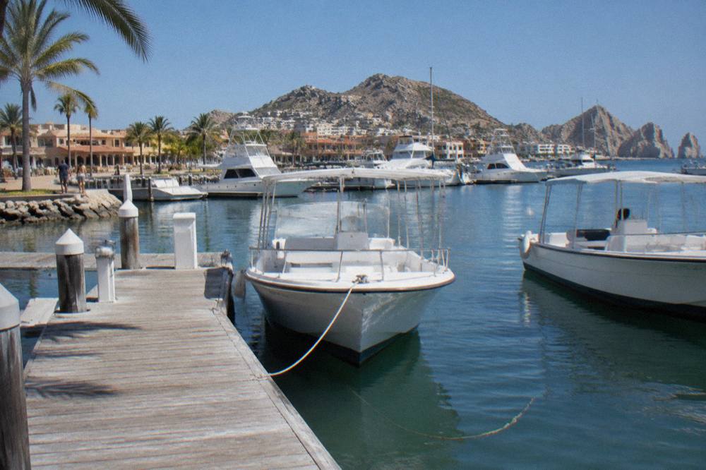 Wooden dock extending into a marina with white tour boats tied up and clear sky above