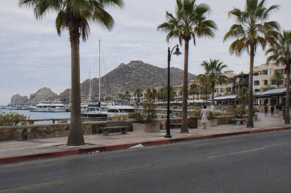 Rows of parked cars along a palm-lined street beside a marina promenade in late afternoon light