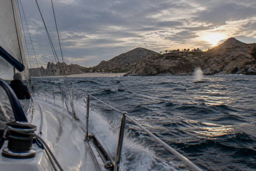 Sailboat leaning under wind with rails close to the water in late afternoon light near Cabo San Lucas