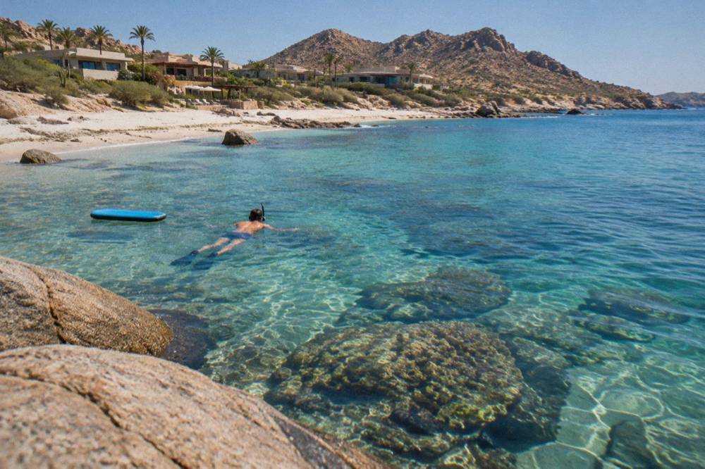 Snorkeler floating over clear shallow water and rocky reef near a calm bay in Los Cabos