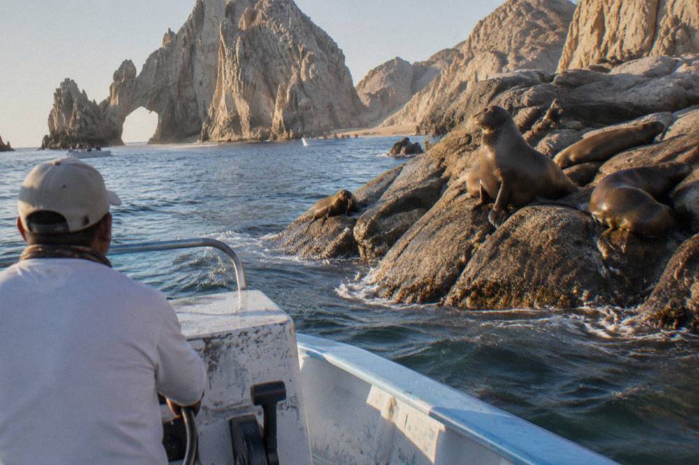 A small tour boat passing close to the rock formations at Land's End near sea lions on the rocks