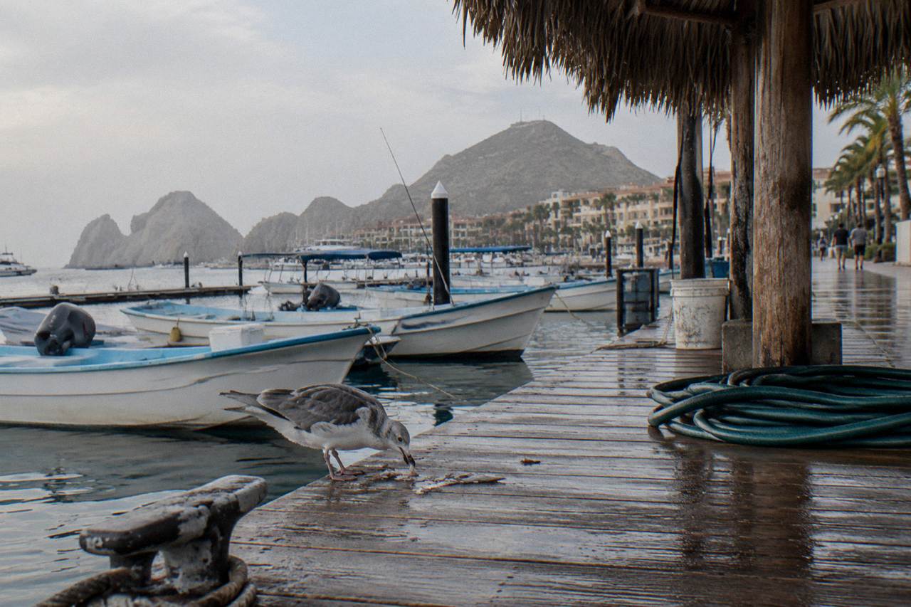 Cabo San Lucas marina boardwalk at golden hour with boats moored along the docks