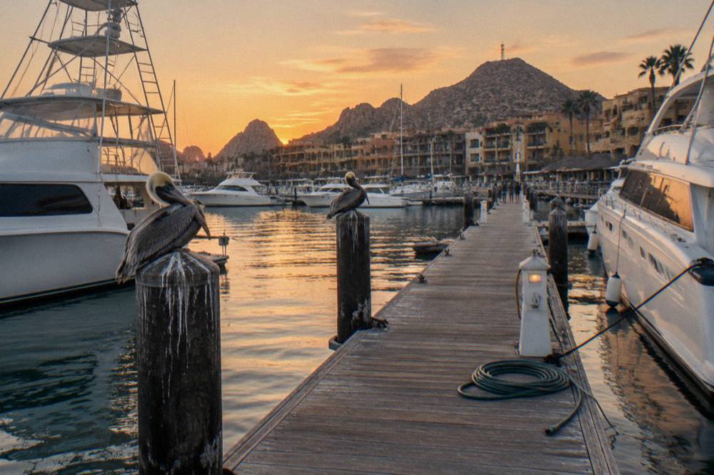 Marina docks at Cabo San Lucas at dusk with yachts moored and warm sky