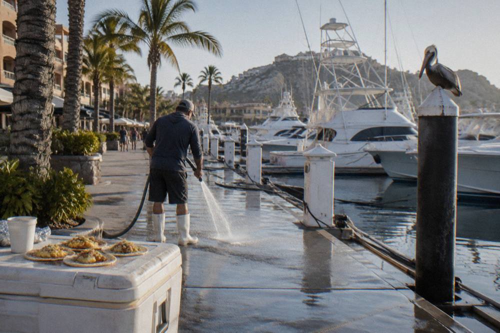 Palm-lined marina boardwalk with yachts moored along the docks in late afternoon light