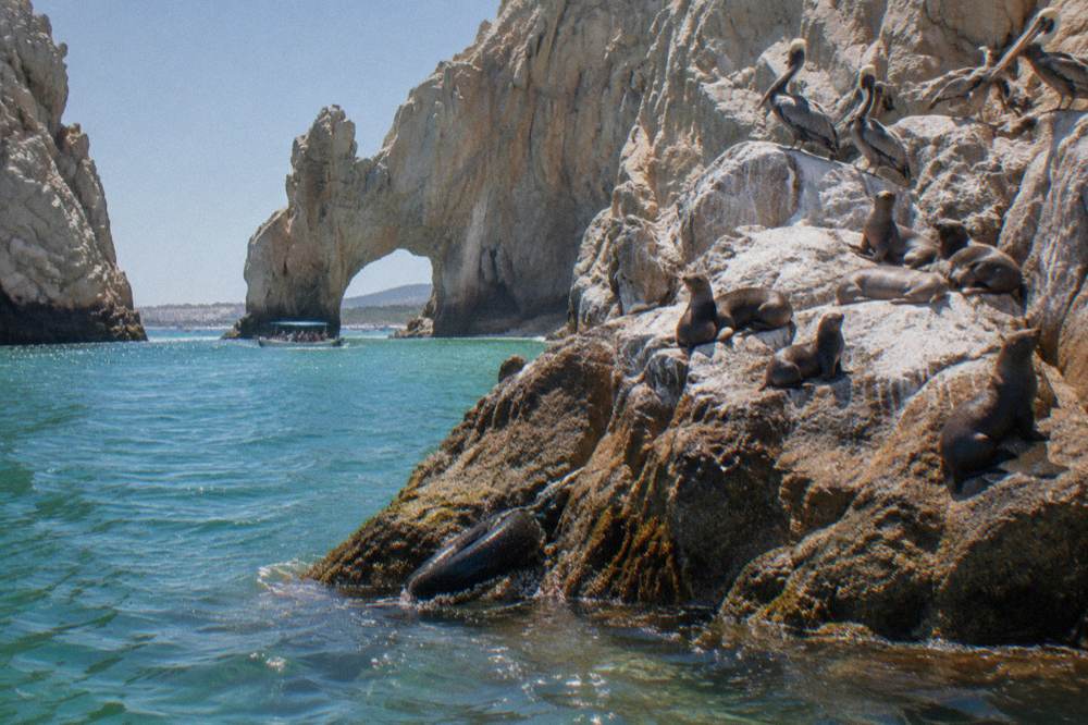 Sea lions resting on a rocky islet near the stone arch with clear water below