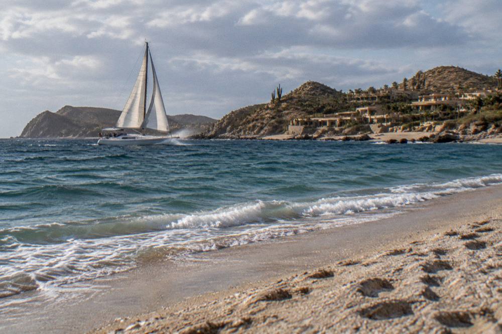 A sailing yacht under full sail on open water with a whale spout in the distance
